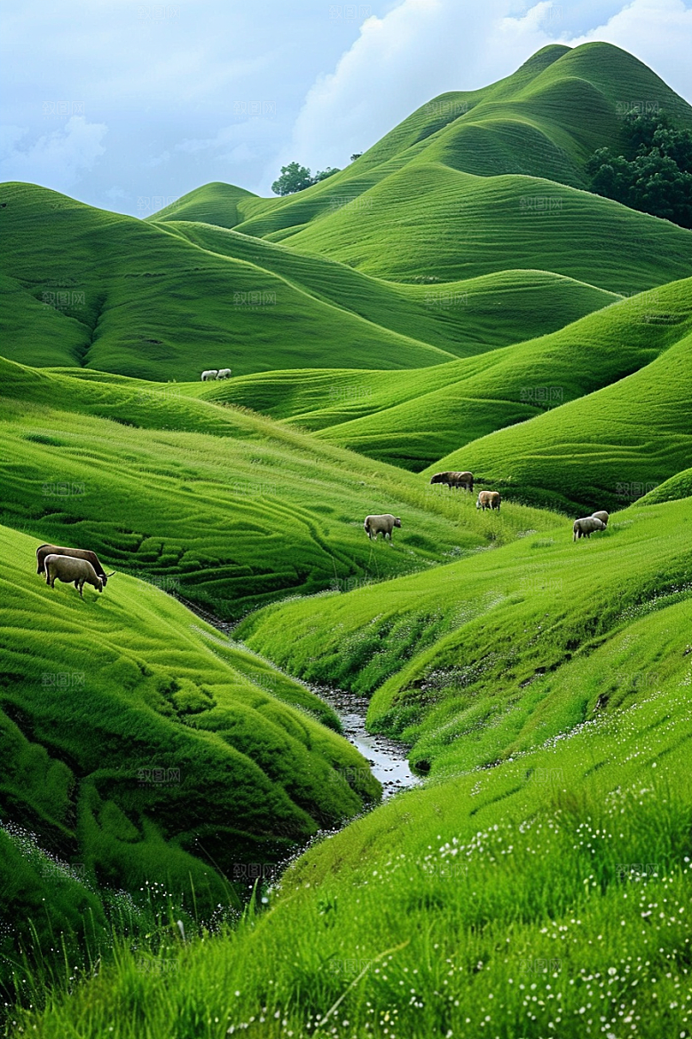 草原牧场草场内蒙古摄影图