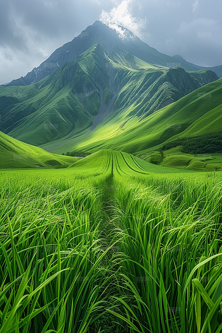 草原牧场绿色大草原摄影图