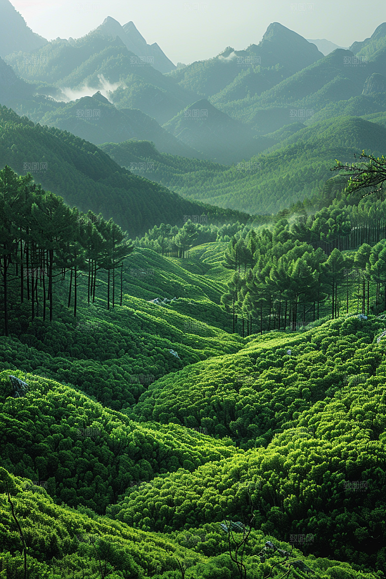 草原牧场大草原旅游摄影图