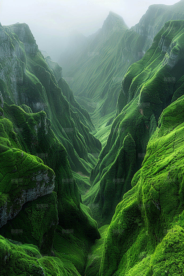 草原牧场风光草场摄影图