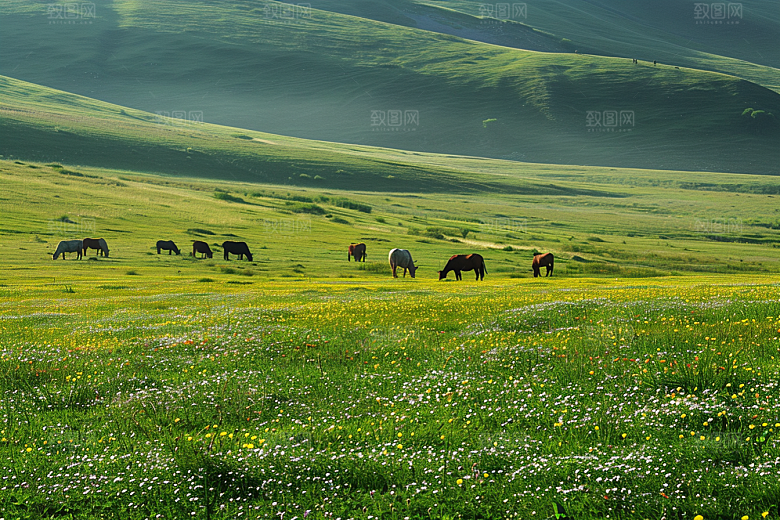 草原牧场自然大草原摄影图