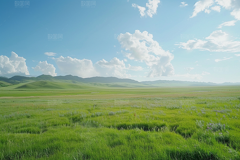 草原牧场风光高清摄影图