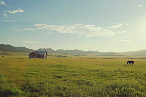 草原牧场绿色旅游摄影图