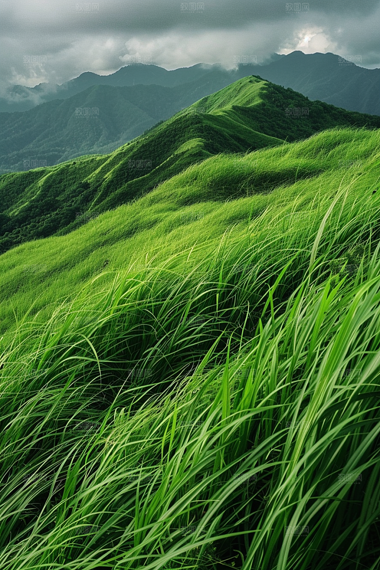 草地风景草场摄影图