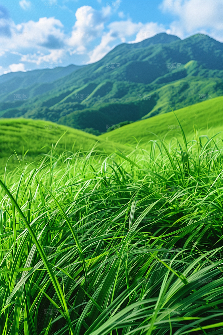 草地山野自然摄影图