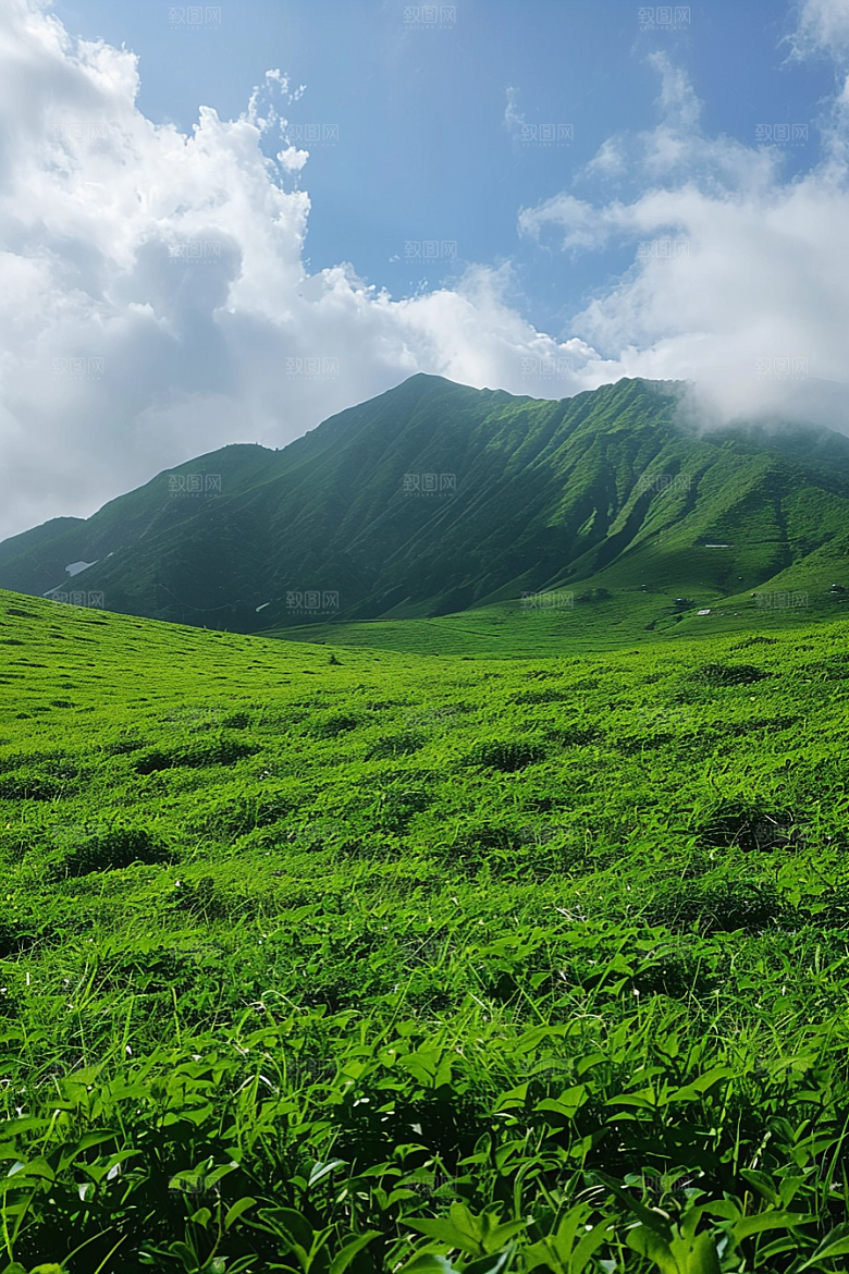 草地风景原野摄影图