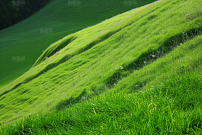 草地草原草场摄影图