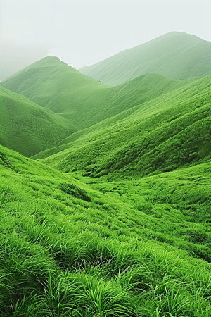 草地夏天风景摄影图