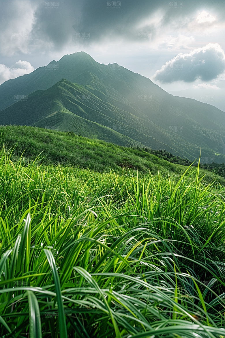 草地草场山野摄影图