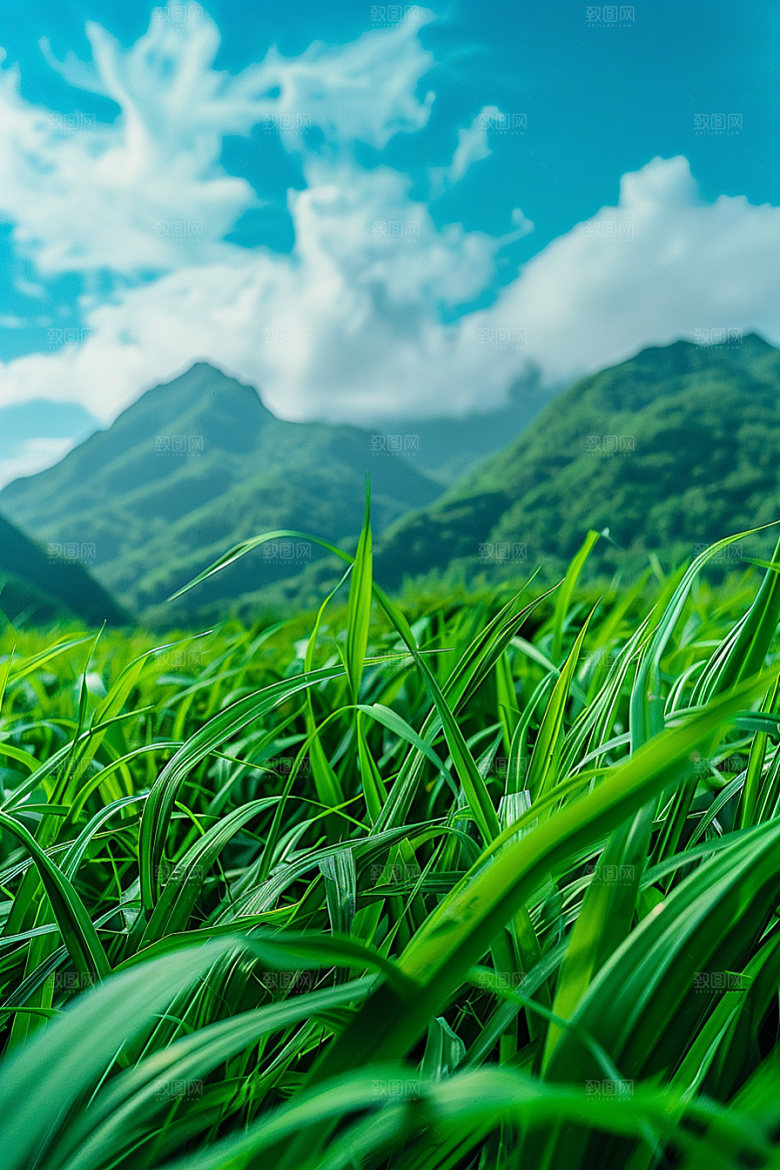 草地山野高清摄影图