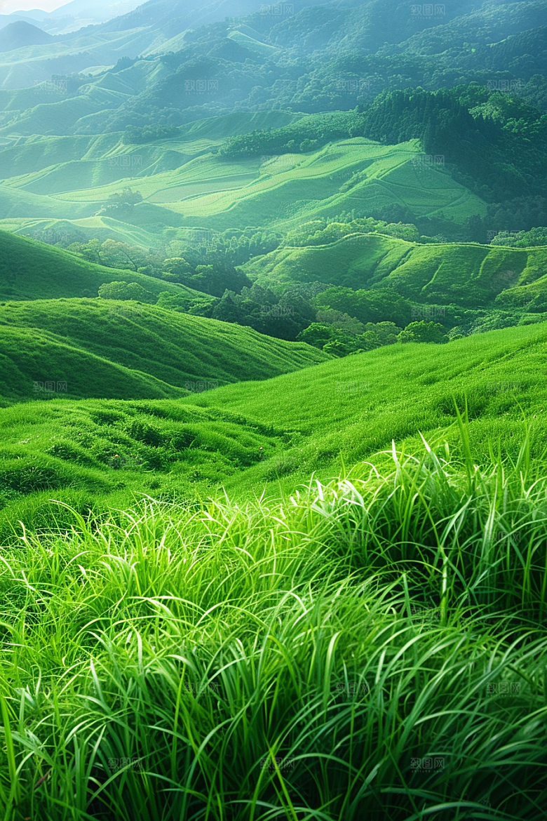 草地风景原野摄影图