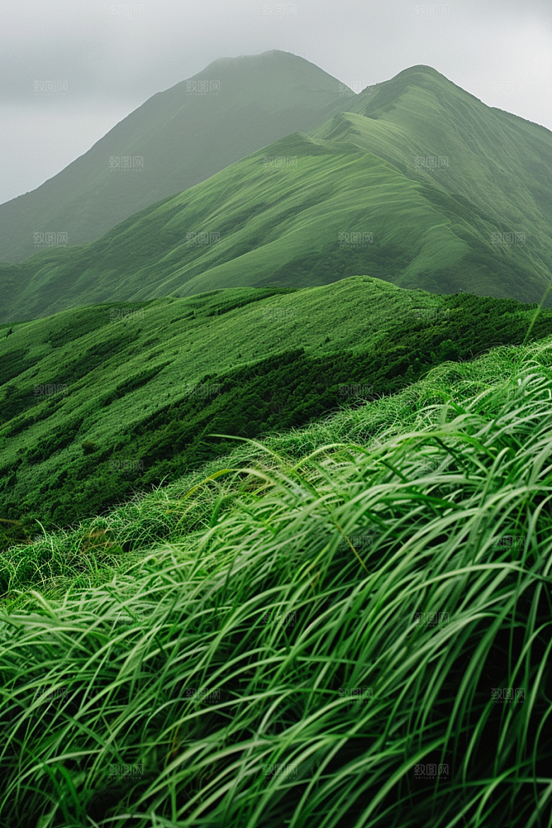 草地风景草原摄影图