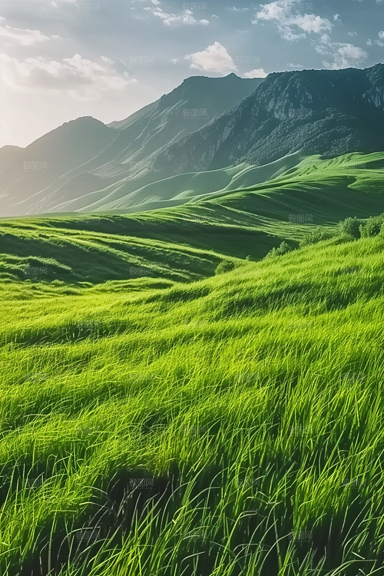 草地高清风光摄影图