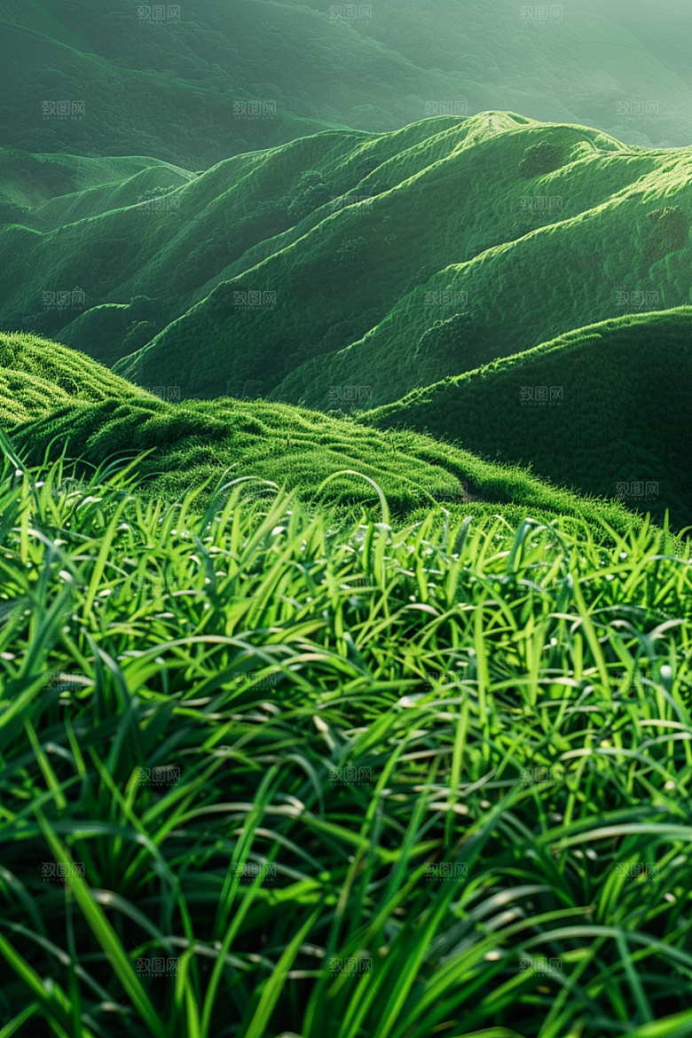 草地山野草原摄影图
