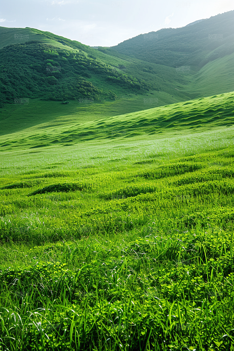 草地风景山野摄影图