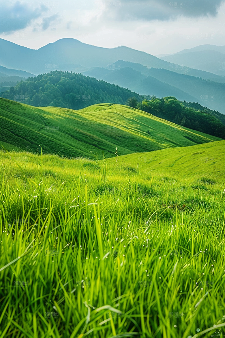 草地山野高清摄影图