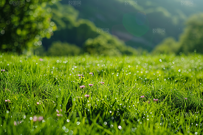 草地风景草场摄影图