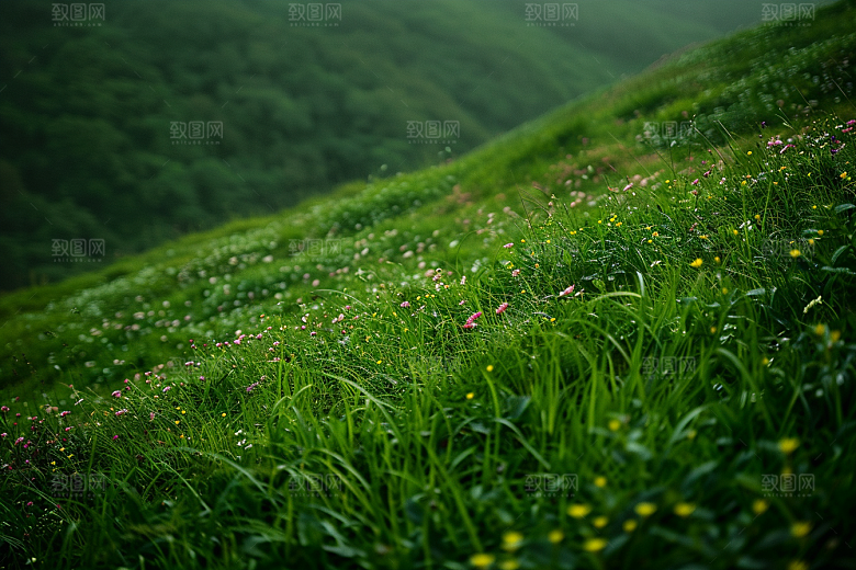 草地草原夏天摄影图