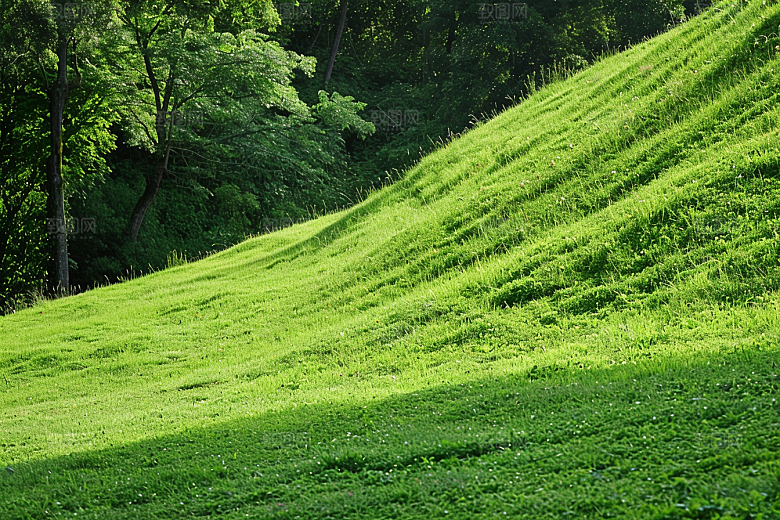 草地风景山野摄影图