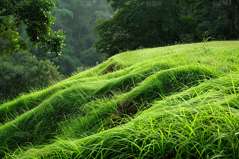 草地风景草原摄影图