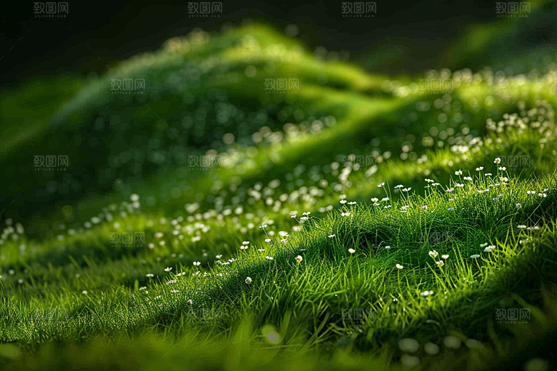 草地风景清新摄影图