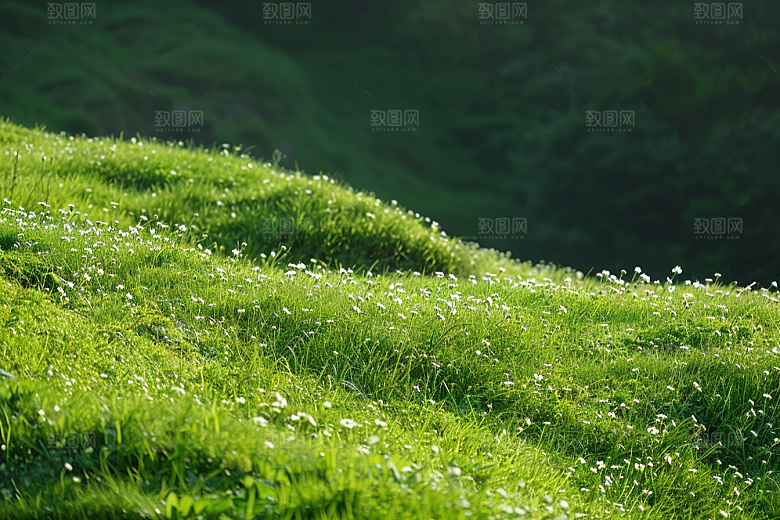 草地草原清新摄影图