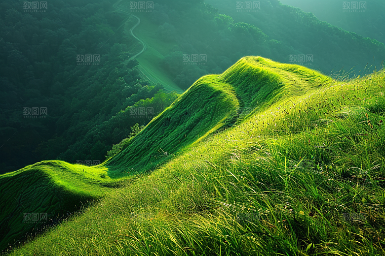 草地自然清新摄影图