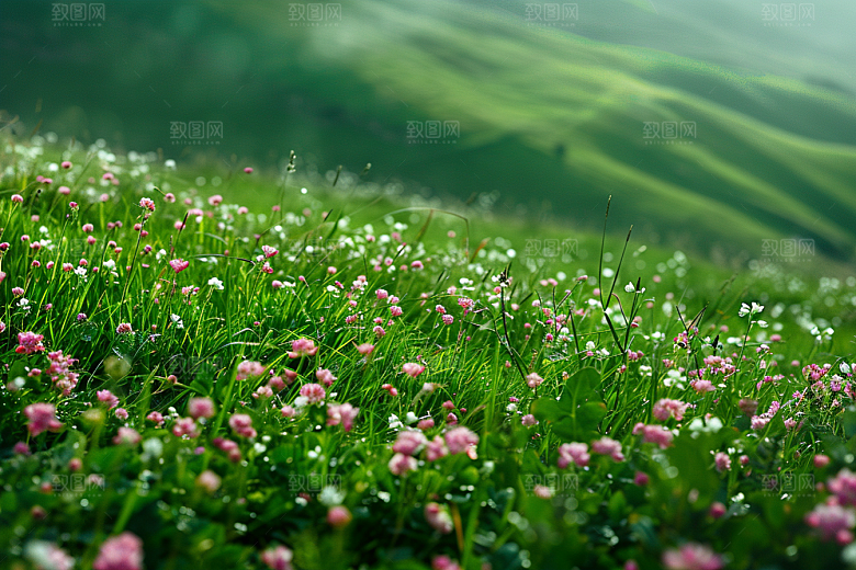 草地夏天高清摄影图