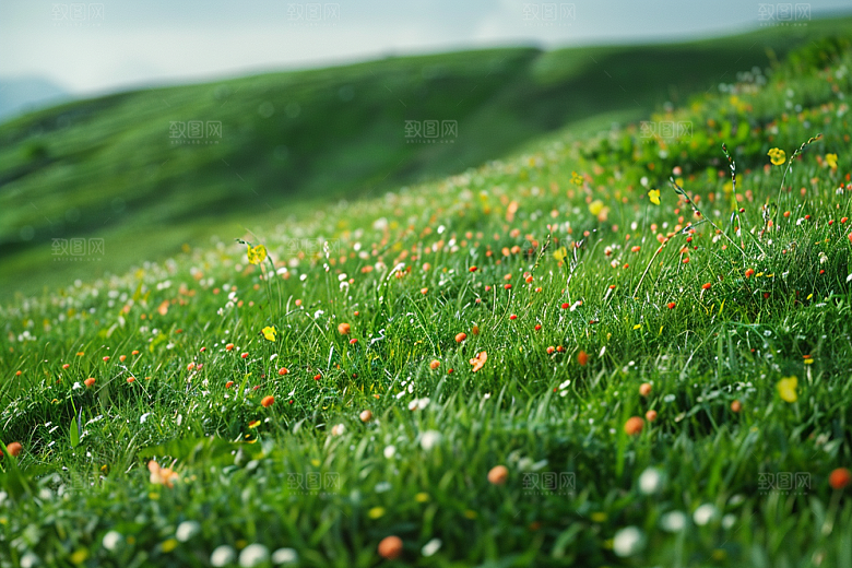 草地自然山野摄影图