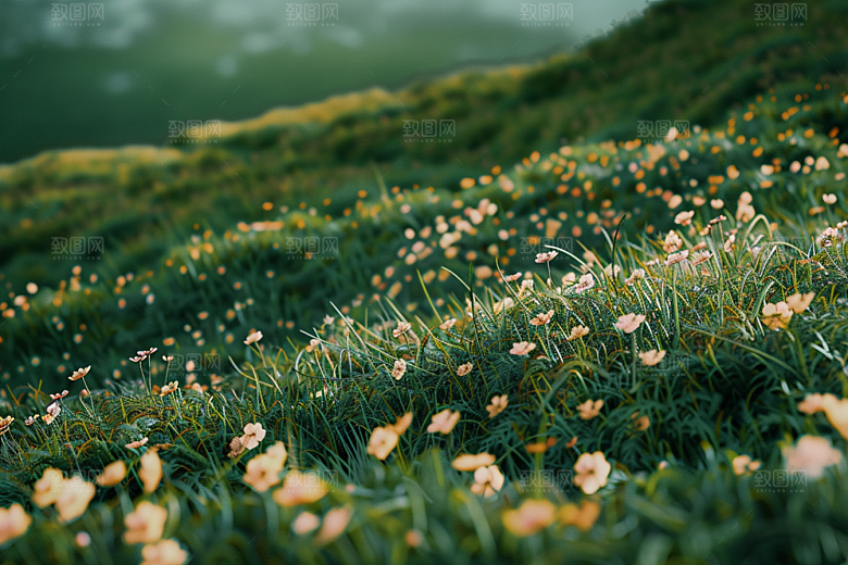 草地风景草原摄影图