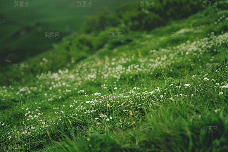 草地清新风景摄影图