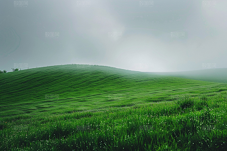 草地风景高清摄影图