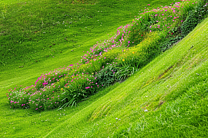 草地绿色风景摄影图