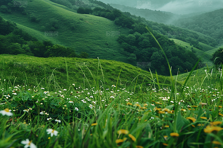 草地风景草原摄影图