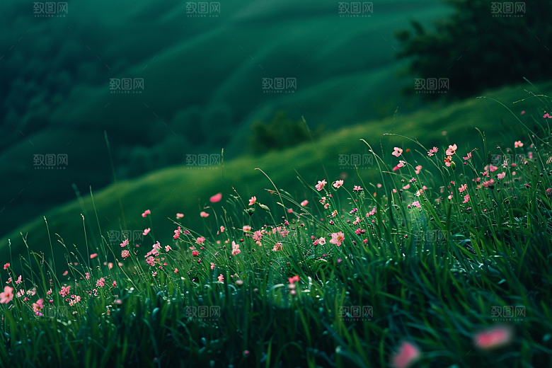草地风景高清摄影图