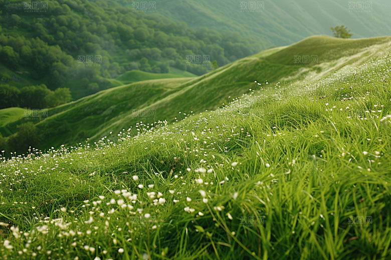 草地山野草原摄影图