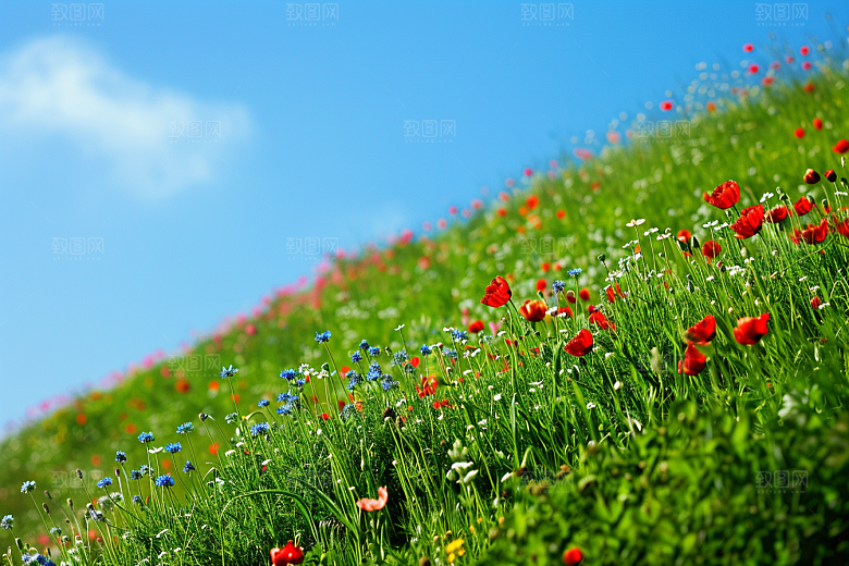 草地原野草原摄影图
