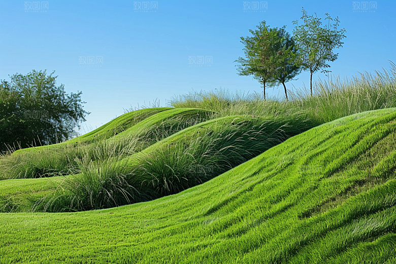 草地夏天风光摄影图