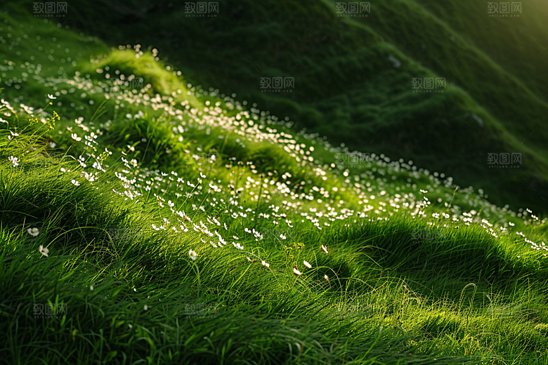 草地绿色草场摄影图