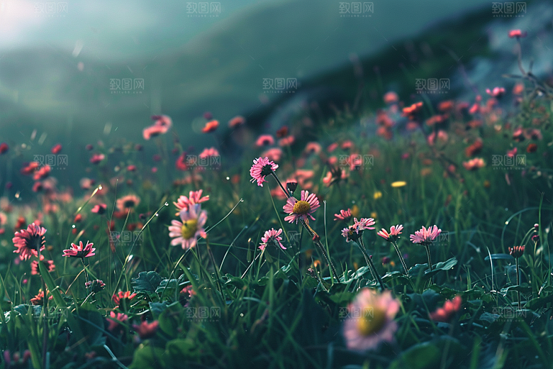草地夏天风光摄影图