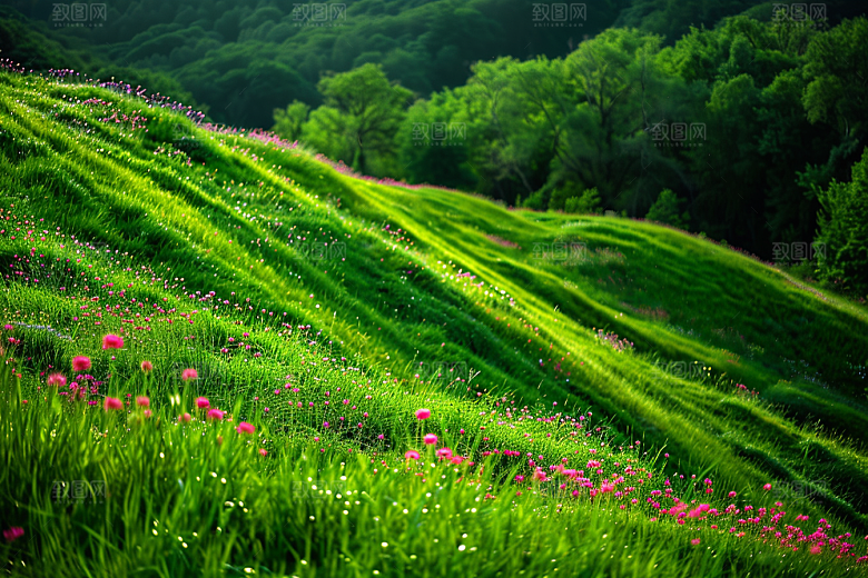 草地草场风景摄影图