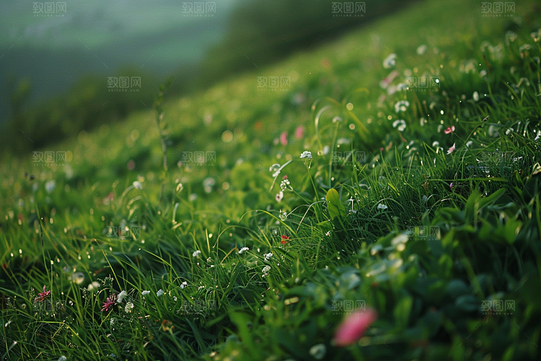 草地风景草原摄影图