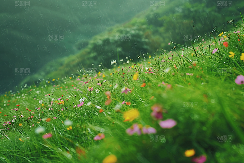 草地风光山野摄影图