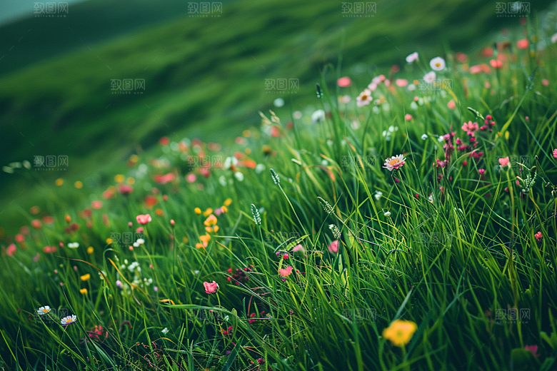 草地风光风景摄影图