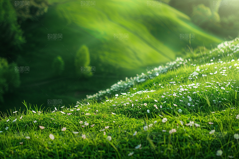 草地清新风光摄影图