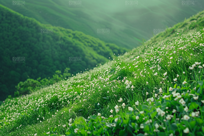 草地自然风景摄影图