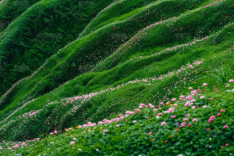 草地风景草原摄影图