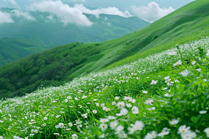 草地山野自然摄影图