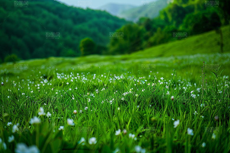 草地风景草原摄影图