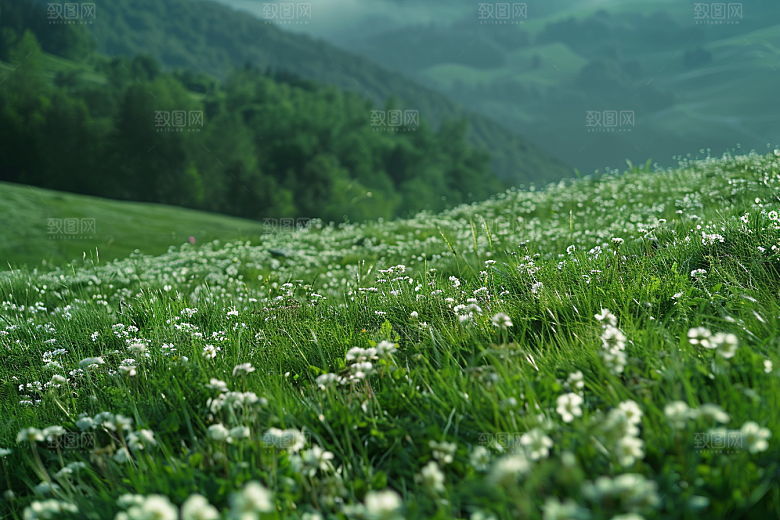 草地草场自然摄影图